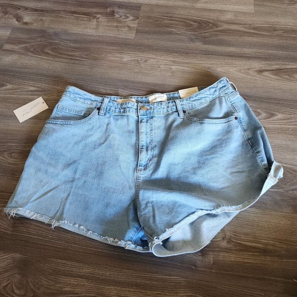 Universal Thread Light Blue Denim Jean Shorts